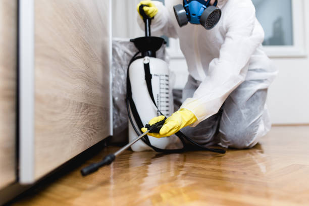 Best Emergency Pest Control  in Kingwood, WV