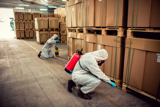 Professional Pest Control in Kingwood, WV