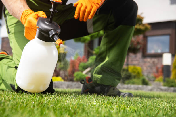 Best Pest Removal Services  in Kingwood, WV